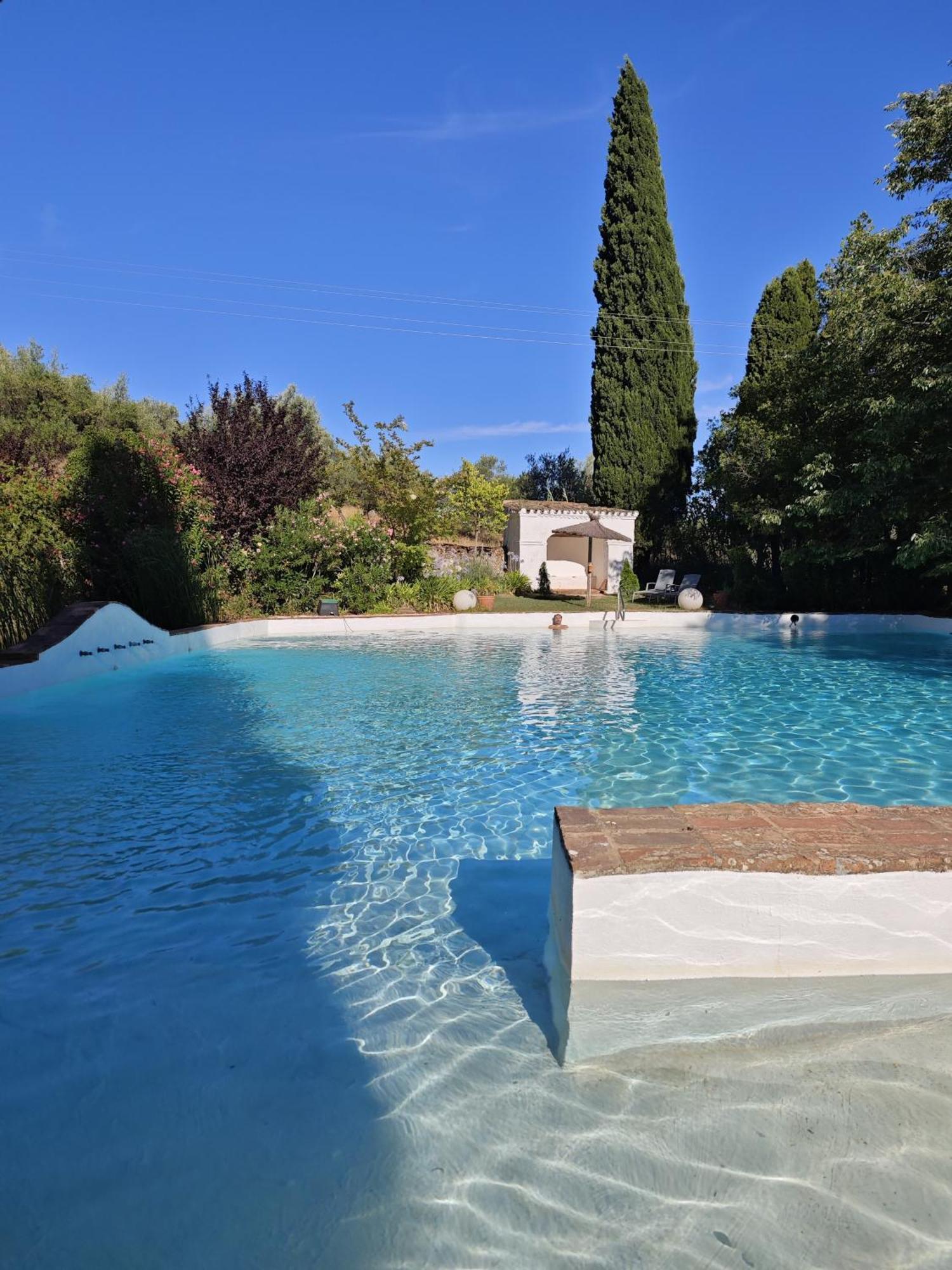 Finca La Favorita- Suites (Adults Only) Constantina Exterior foto
