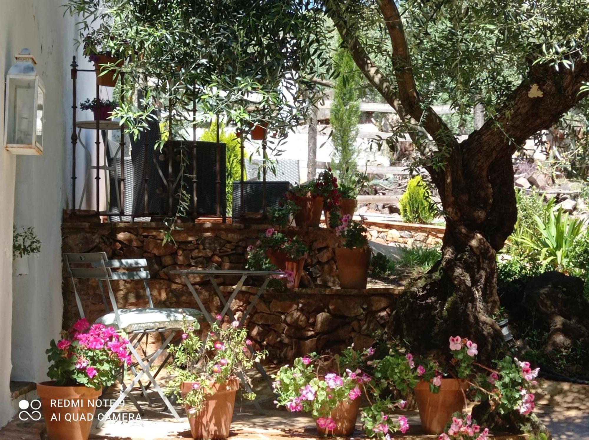 Finca La Favorita- Suites (Adults Only) Constantina Exterior foto