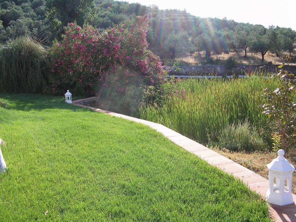 Finca La Favorita- Suites (Adults Only) Constantina Exterior foto