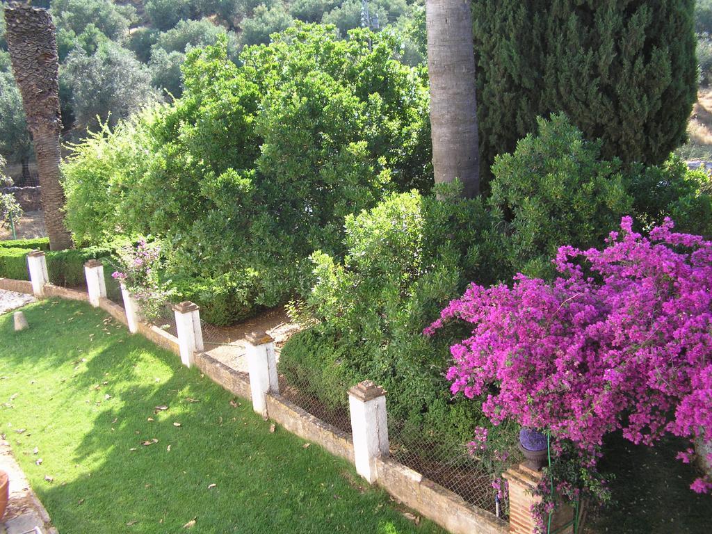 Finca La Favorita- Suites (Adults Only) Constantina Exterior foto