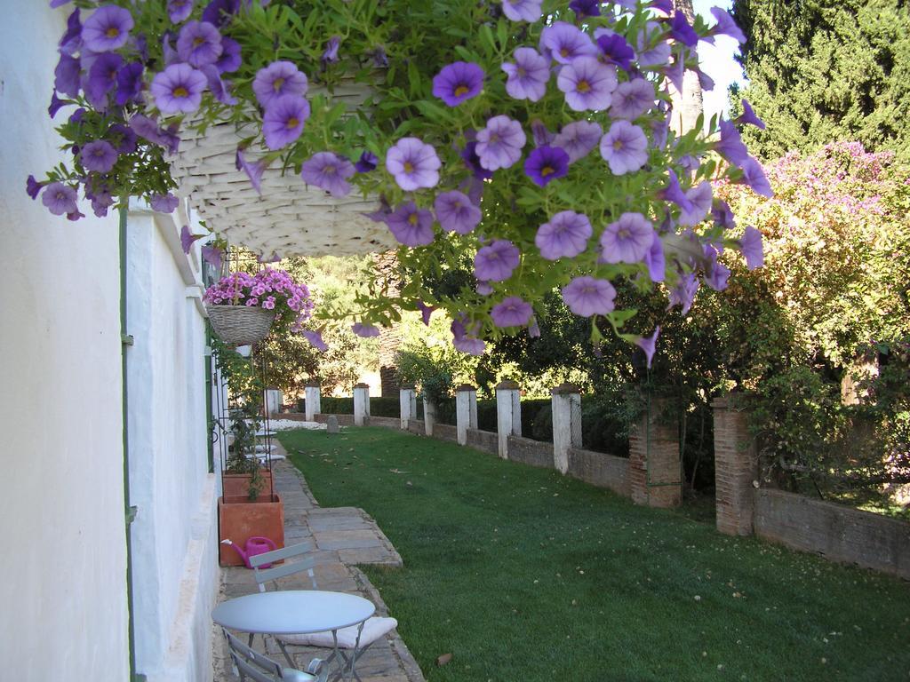 Finca La Favorita- Suites (Adults Only) Constantina Exterior foto