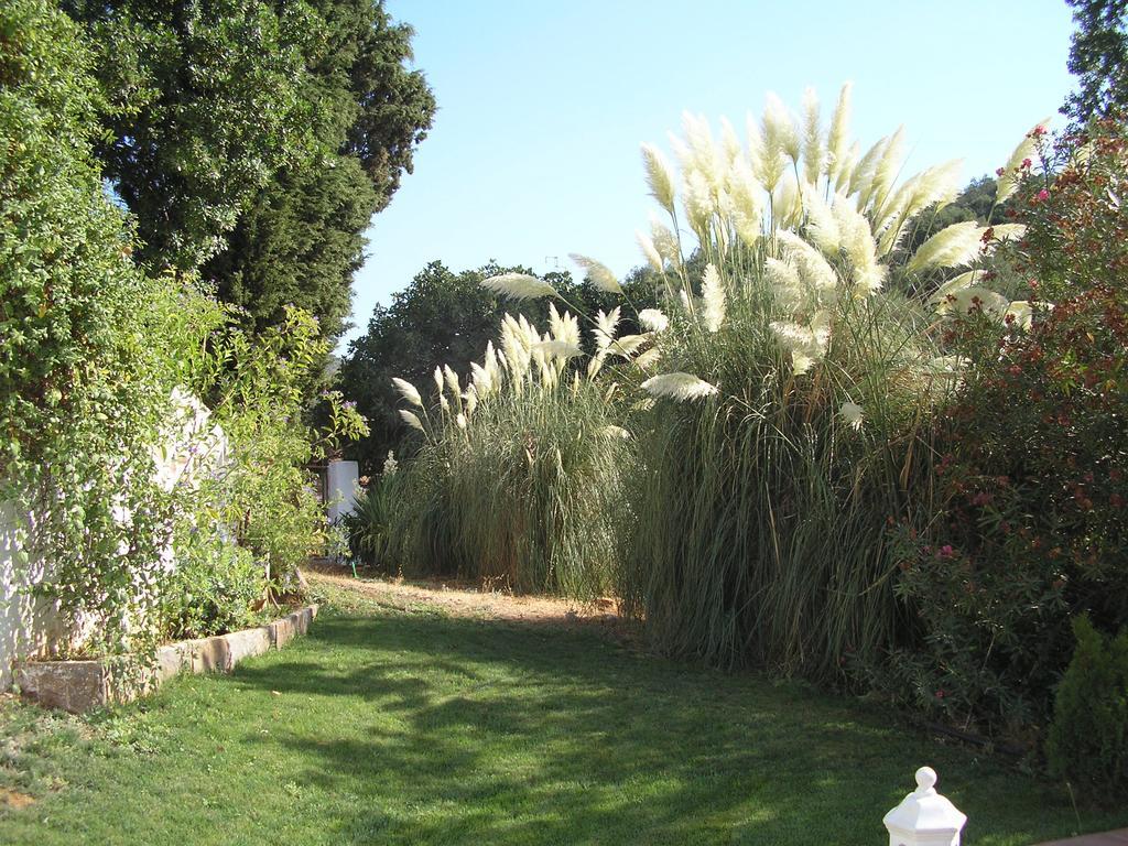 Finca La Favorita- Suites (Adults Only) Constantina Exterior foto