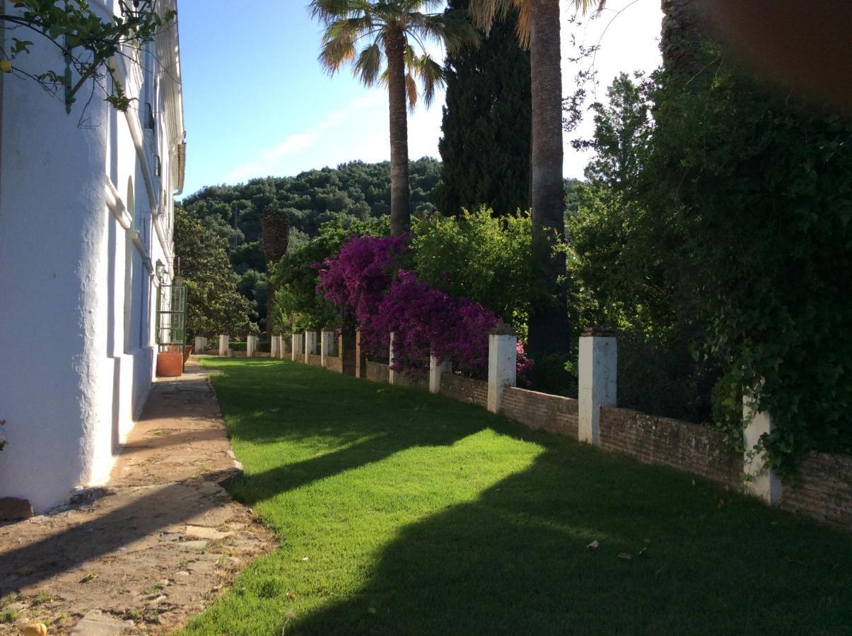 Finca La Favorita- Suites (Adults Only) Constantina Exterior foto