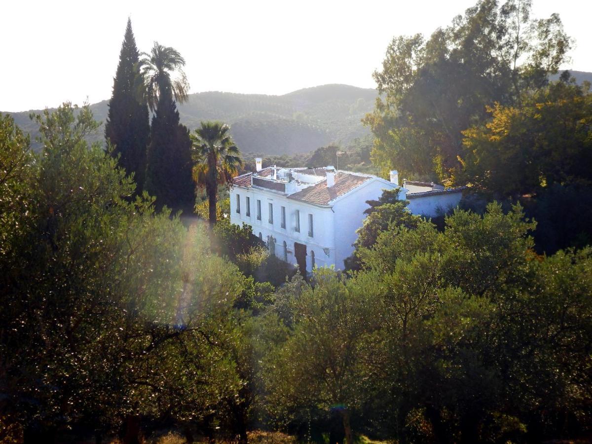 Finca La Favorita- Suites (Adults Only) Constantina Exterior foto