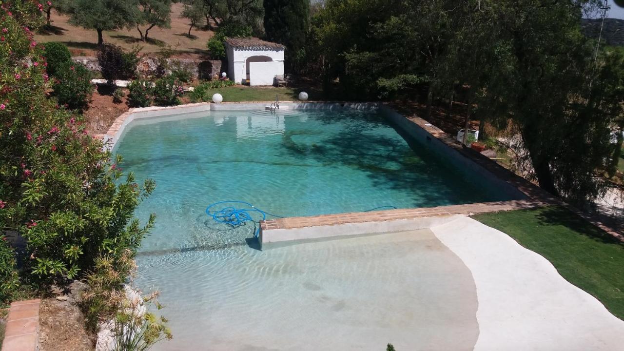Finca La Favorita- Suites (Adults Only) Constantina Exterior foto