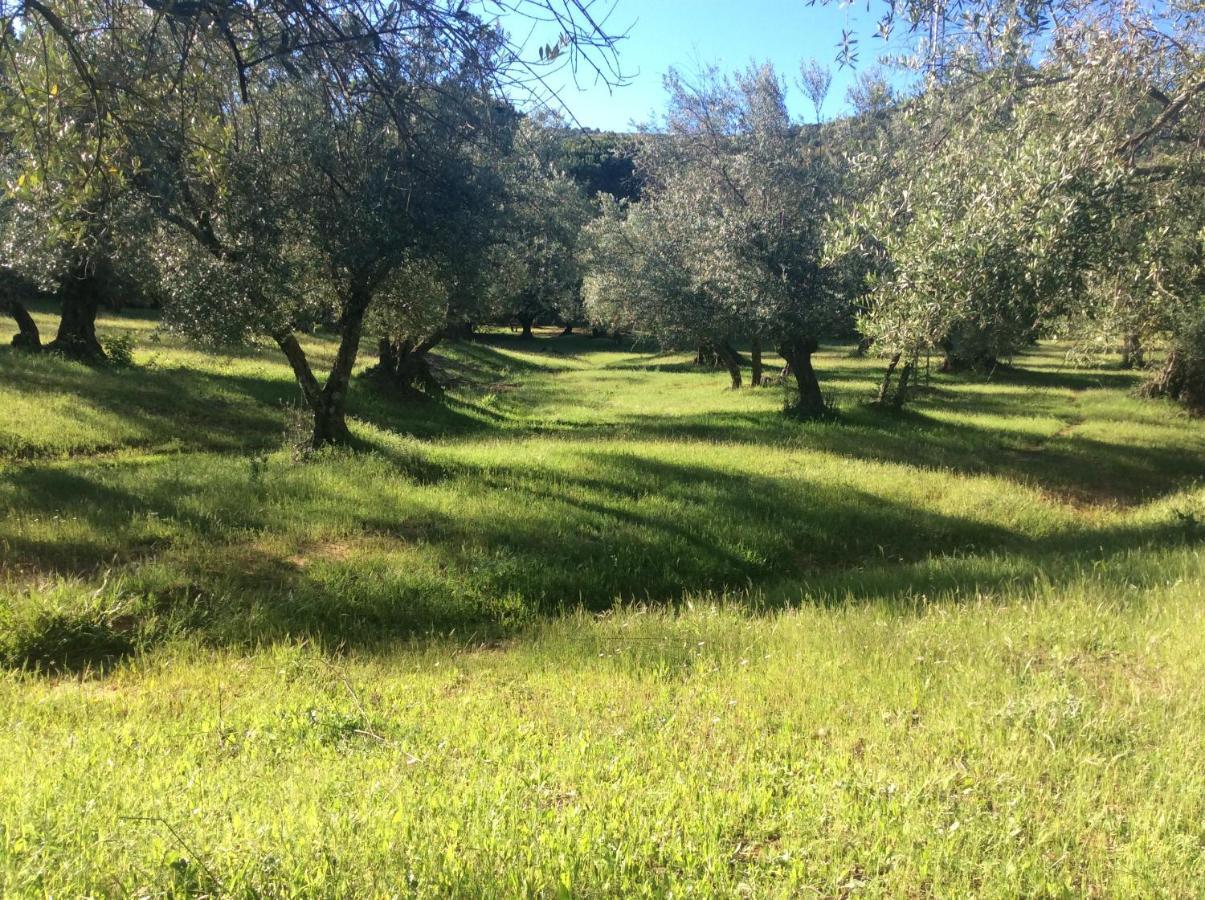 Finca La Favorita- Suites (Adults Only) Constantina Exterior foto