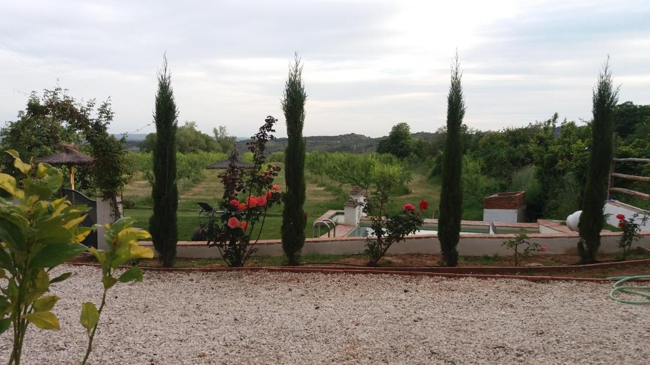 Finca La Favorita- Suites (Adults Only) Constantina Exterior foto