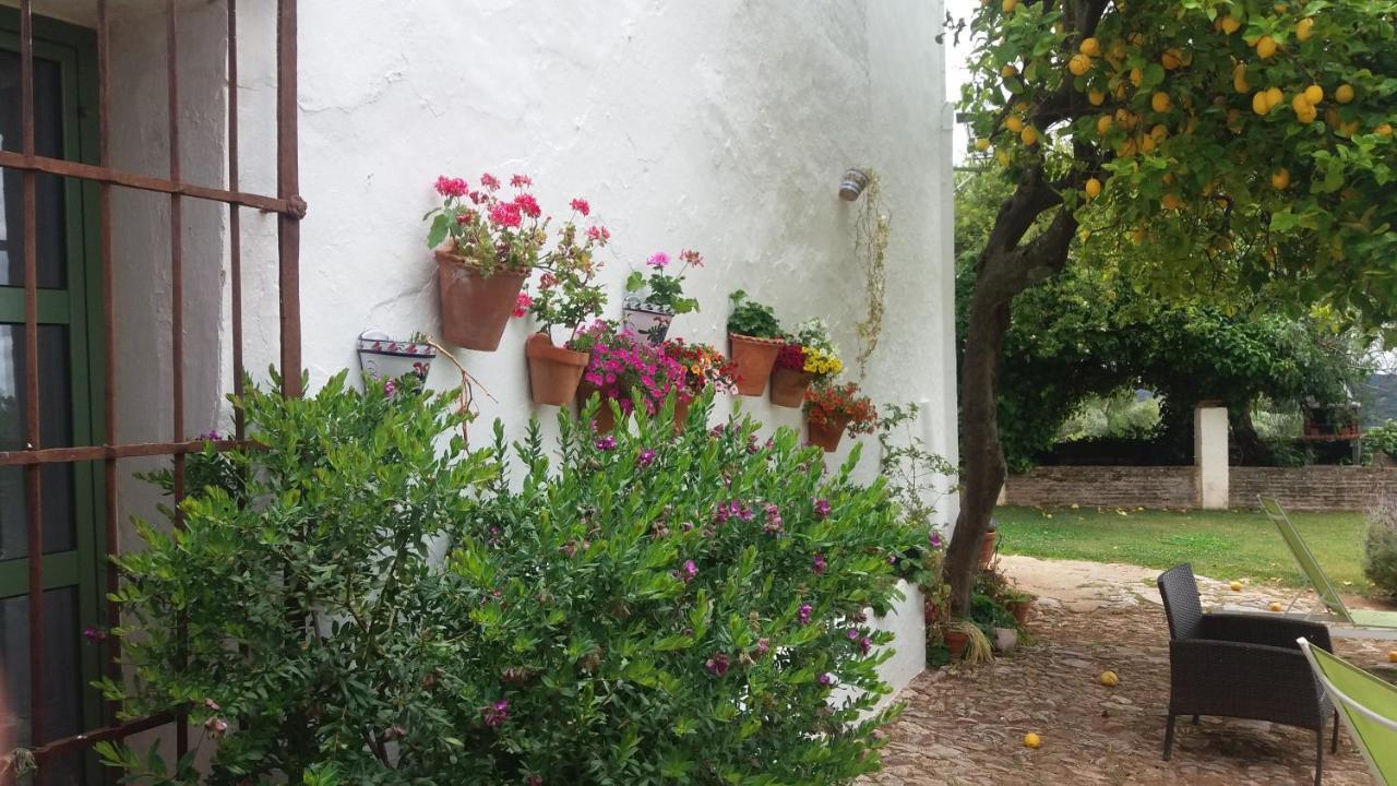 Finca La Favorita- Suites (Adults Only) Constantina Exterior foto